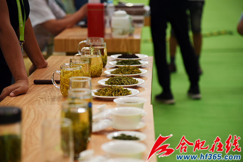 累计签约2799亿第十三届安徽茶博会圆满落幕