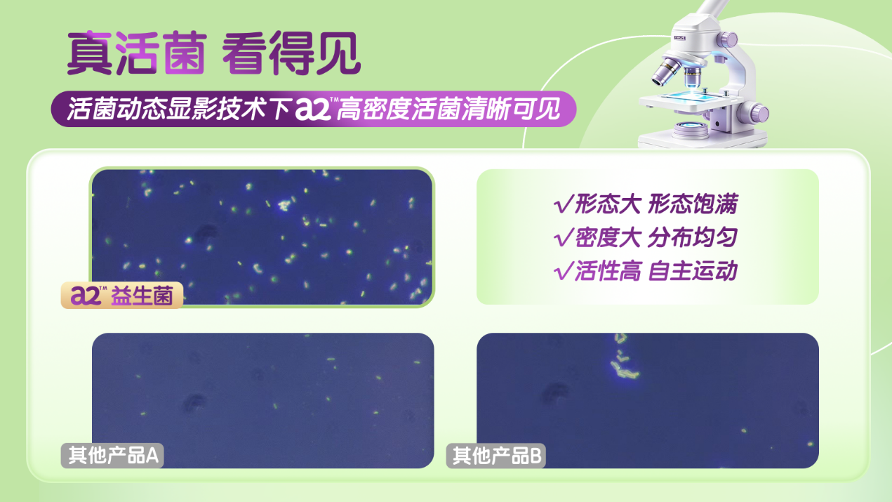 图片 4.png